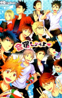 Haikyu!! dj - Gasshuku Shiyouyo