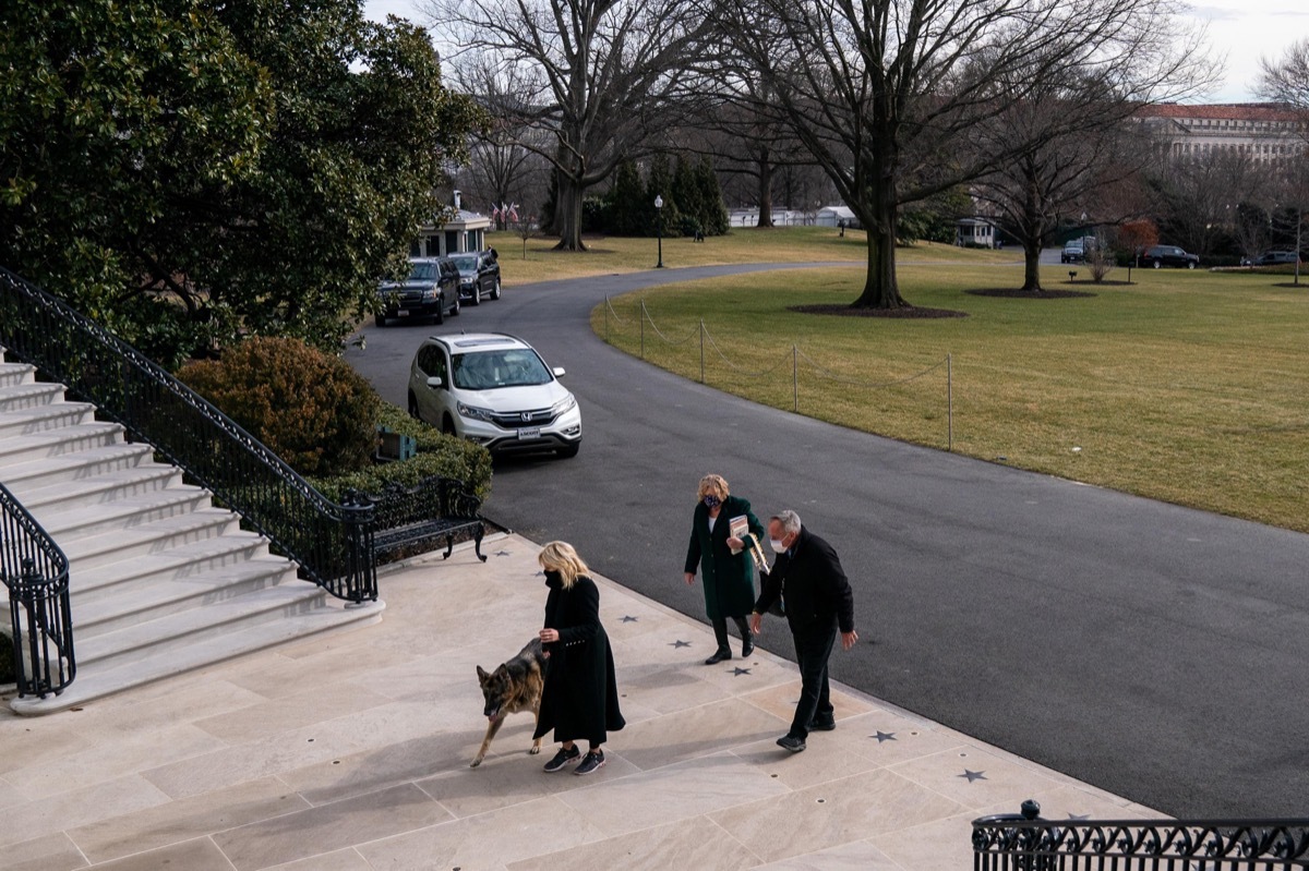 Jill Biden outside the White House with Champ and Major