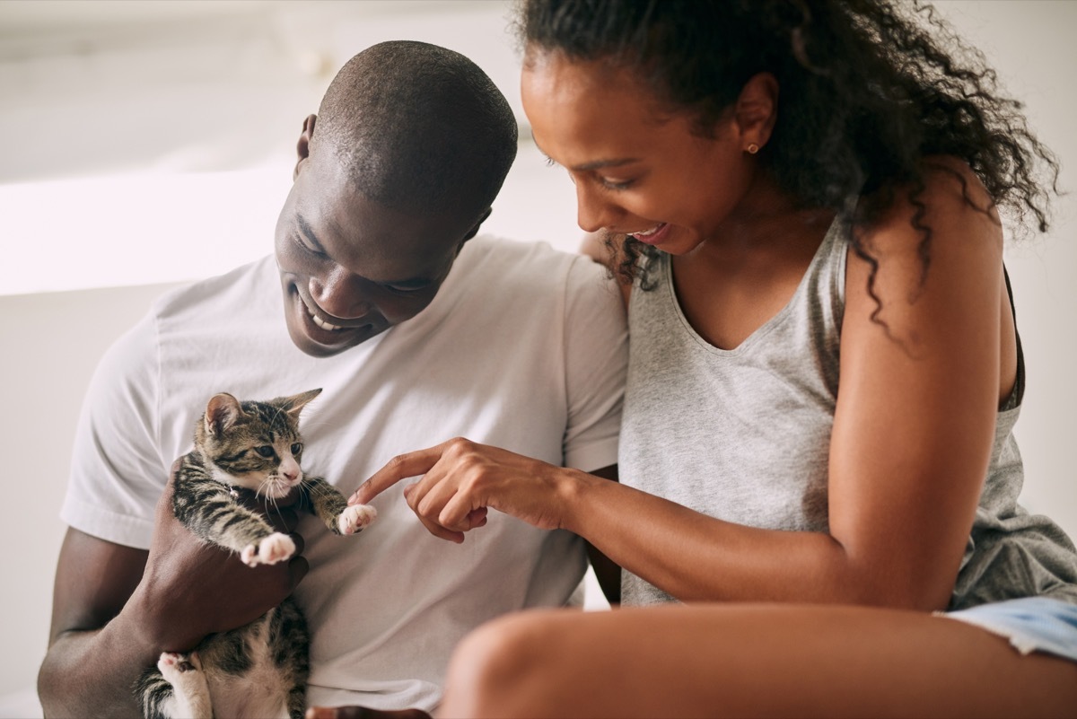 Cropped shot of an affectionate young couple playing with their cat in their bedroom at home