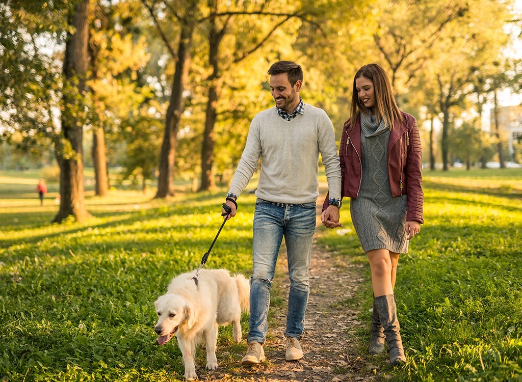 Happy couple walking dog