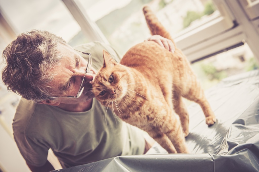 portrait of a seniorman holding his ginger cat. Slovenia, Europe. No logos. Nikon, indoor photography.