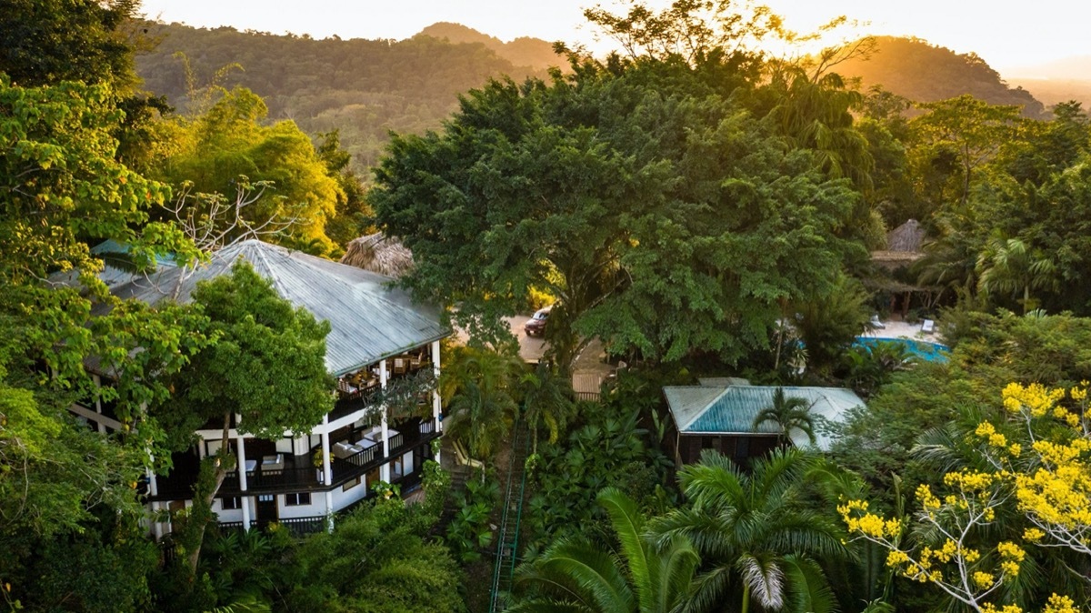 aerial view of copal tree lodge