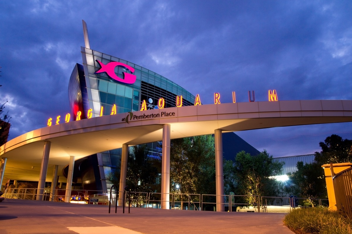 Georgia Aquarium at Night