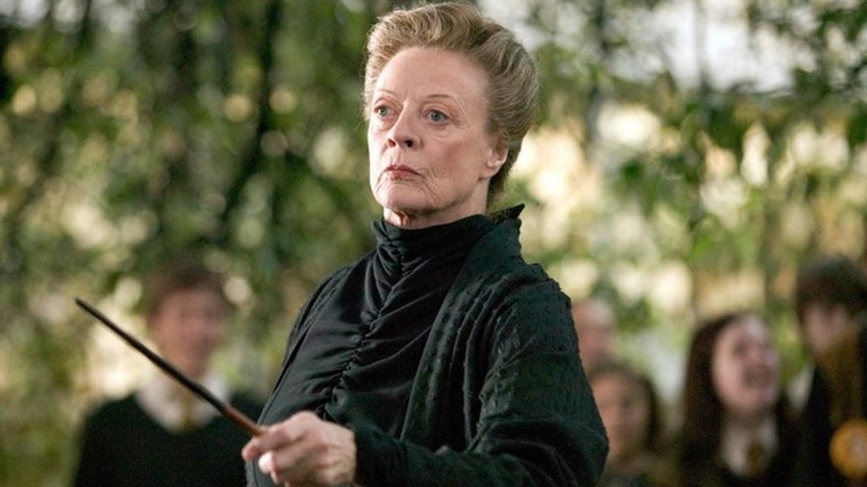  Professor Minerva McGonagall, Harry Potter | 10 Best Female Characters in Literature | Her Beauty