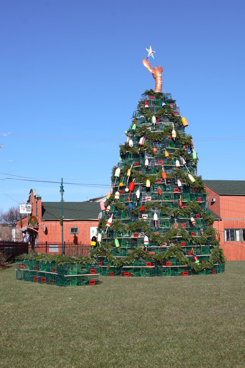 Rockland Maine Lobster Trap Christmas Tree State Christmas Tree