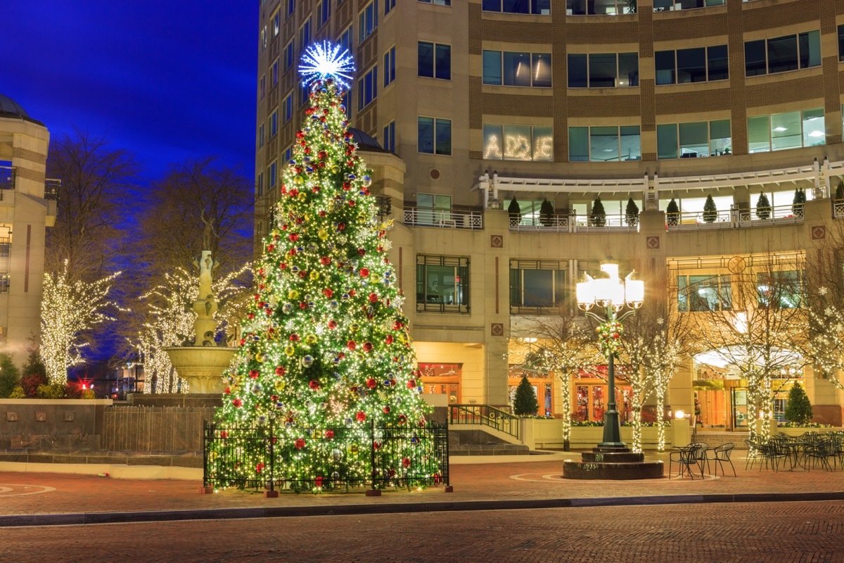 Virginia State Christmas Tree