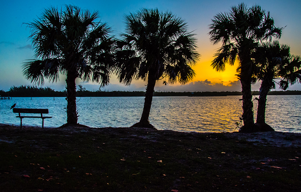 Miramar, palm trees, sunrise, longest-living cities, longest commutes, commute