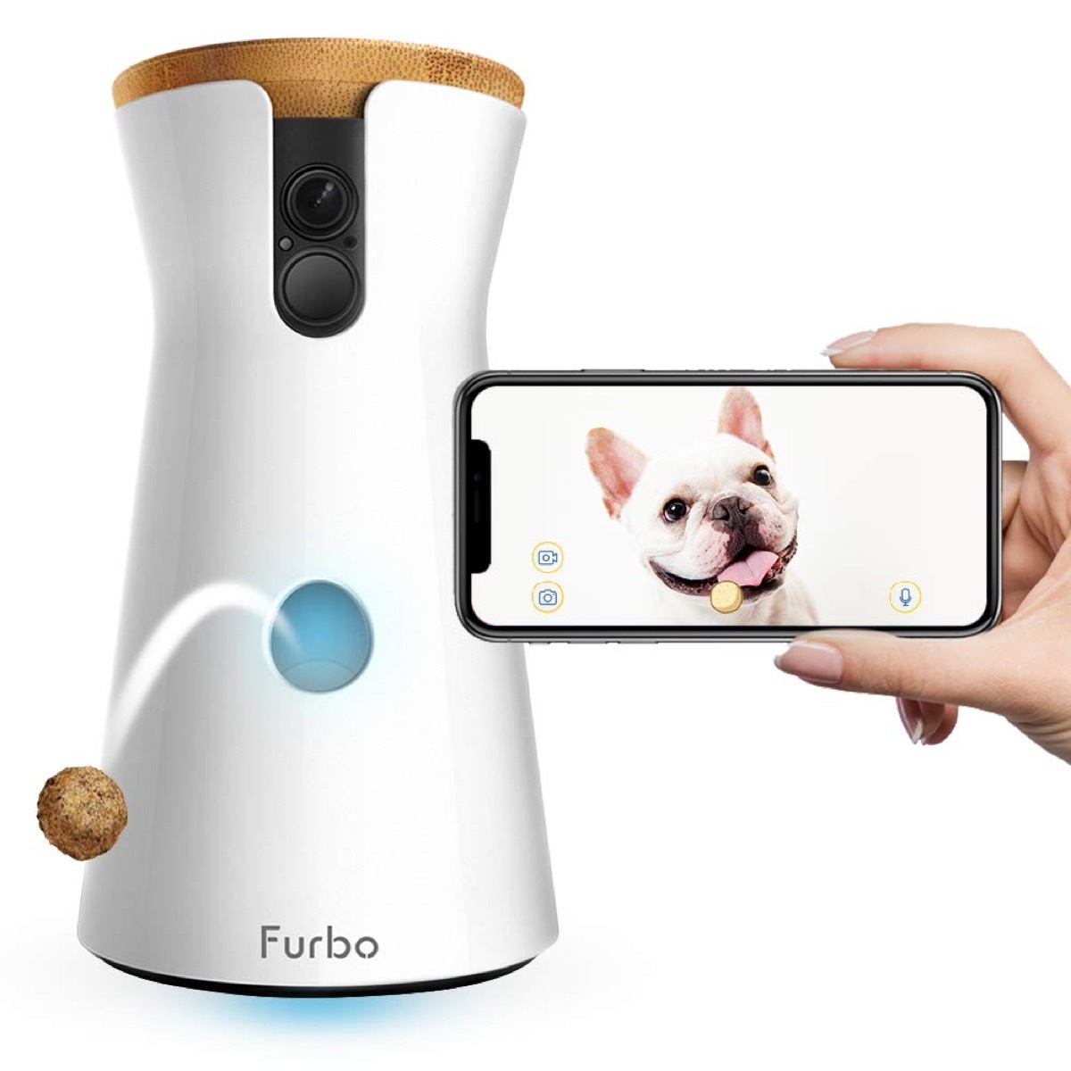 furbo dog camera and white hand holding iphone