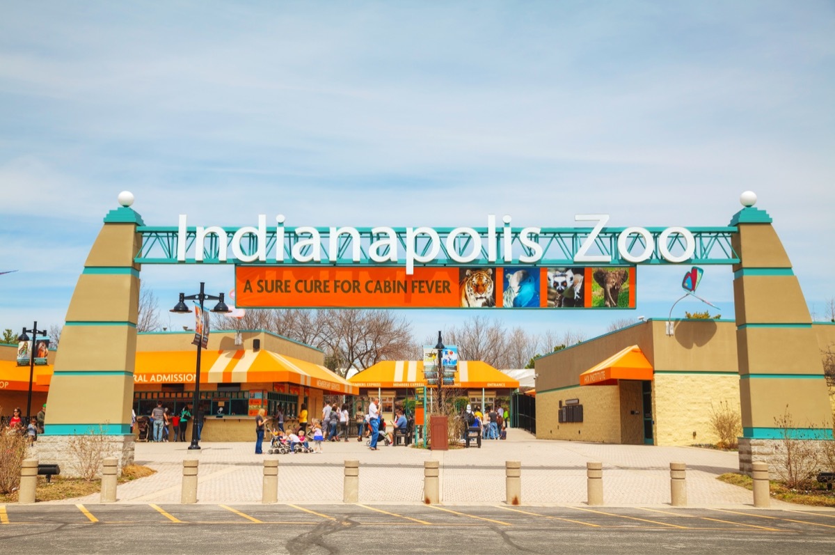 indianapolis zoo indiana fun things to do in every state this summer