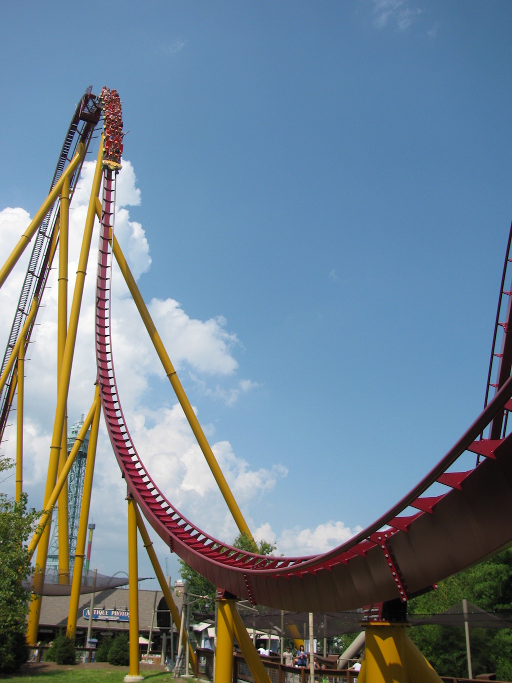 Diamondback Roller Coasters