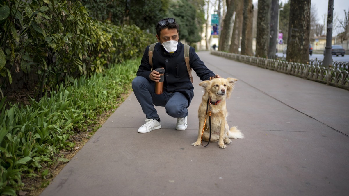 man with face mask bending down to pet dog while on a walk