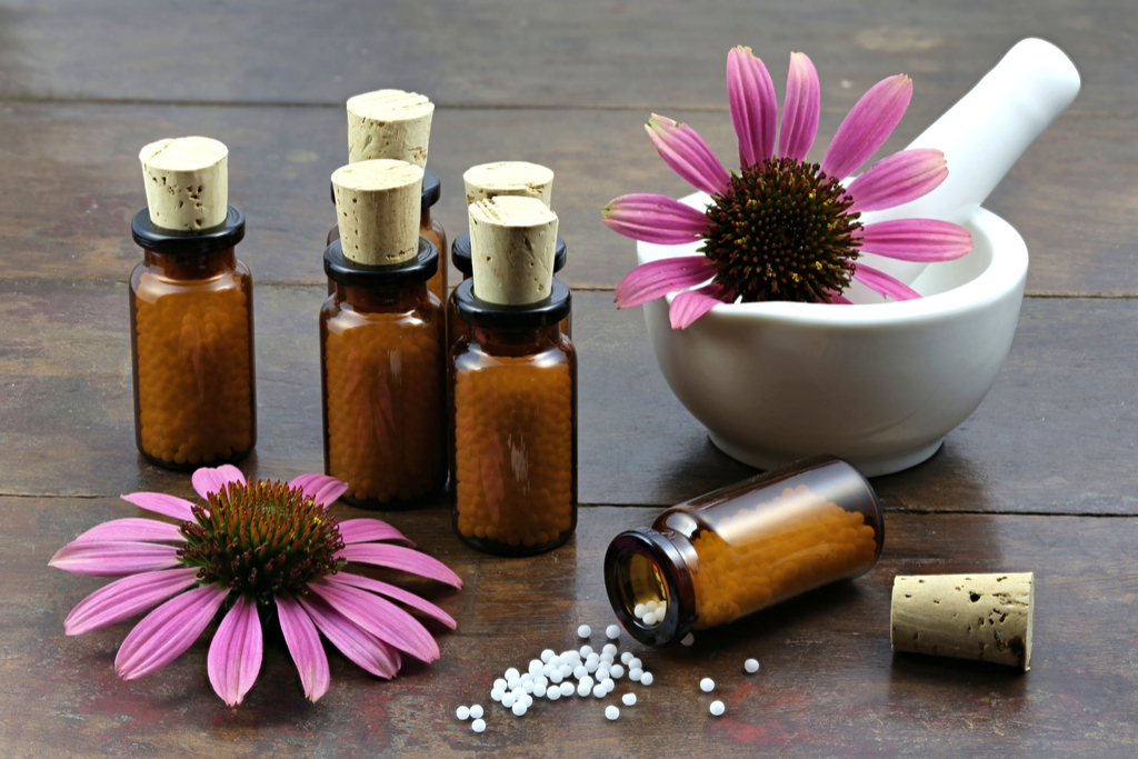 Echinacea Supplements Habits That Increase Flu Risk