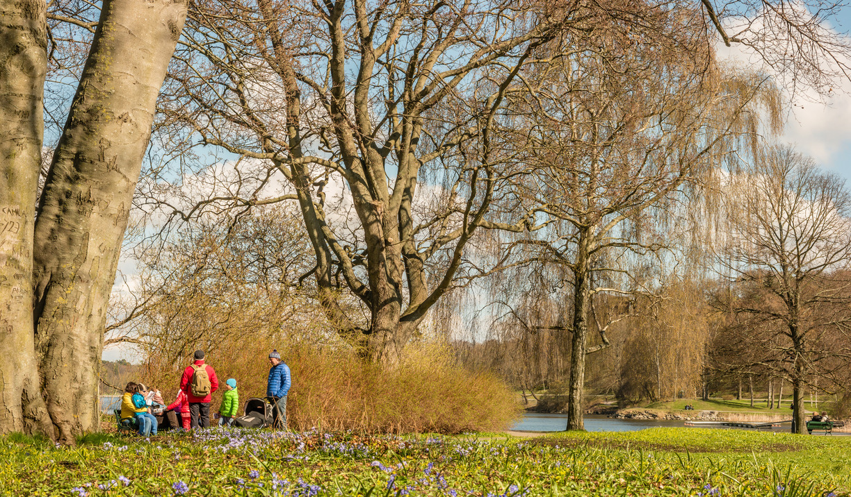 Image result for park nice stroll