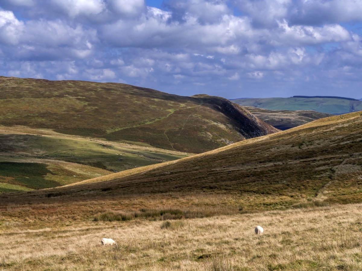 cambrian mountains wales National Geographic bee questions