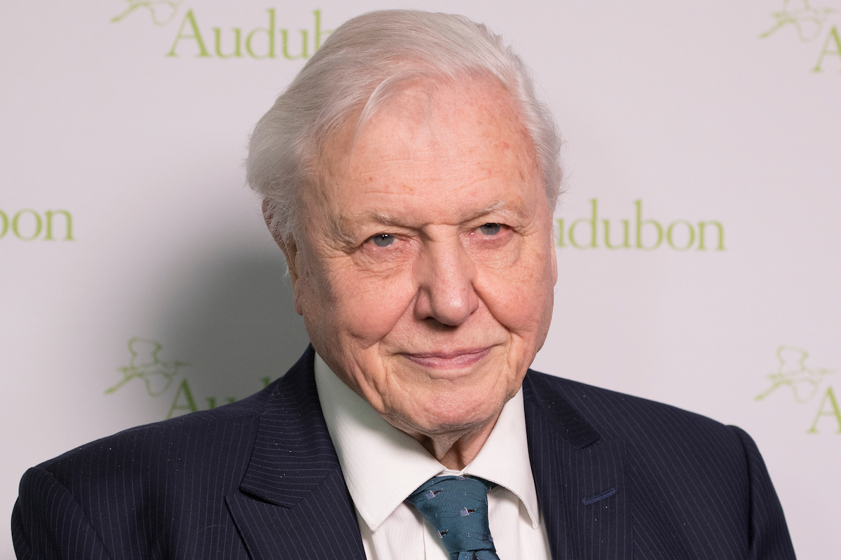 David Attenborough at the National Audubon Society Annual Gala in 2018