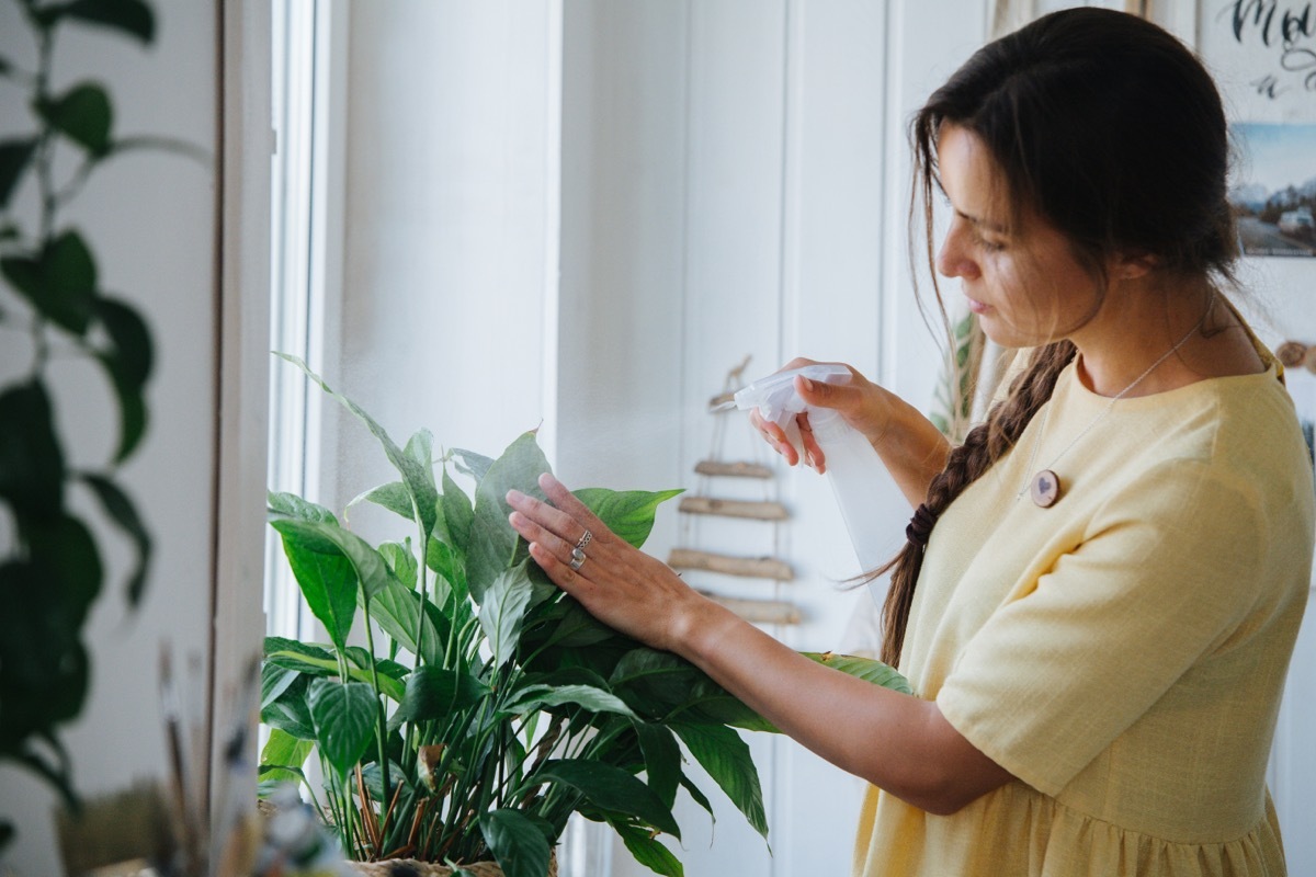 woman spraying plants with spray bottle