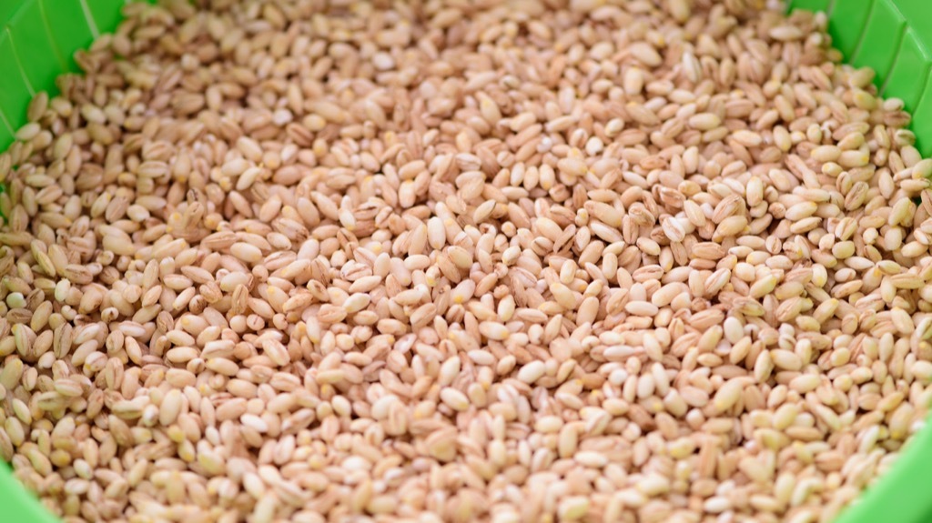 pearled barley heart healthy diet