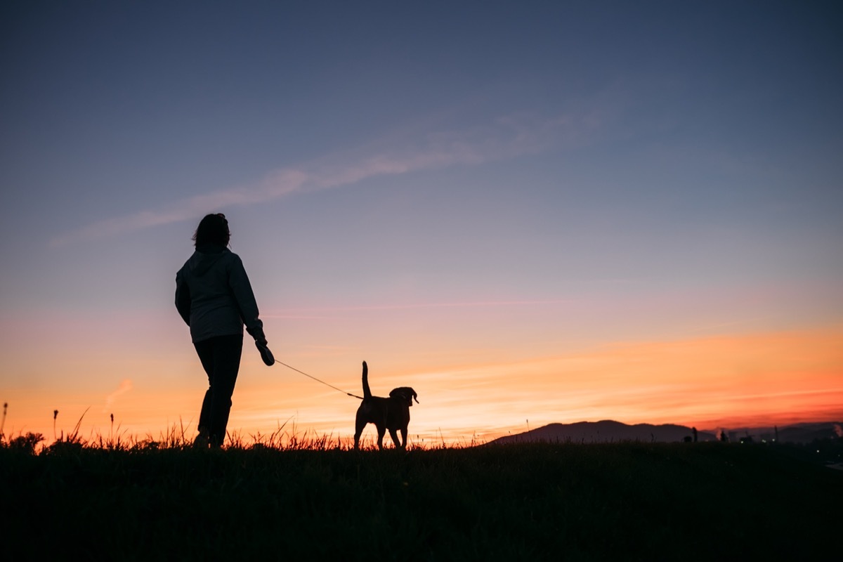 Sunset silhouettes woman and dog on the walk