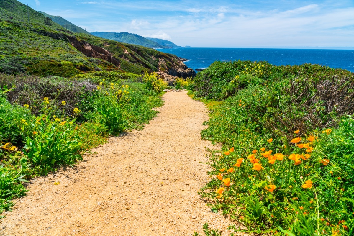 Beach in Northern California