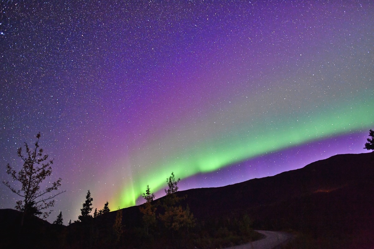 Denali National Park and Preserve