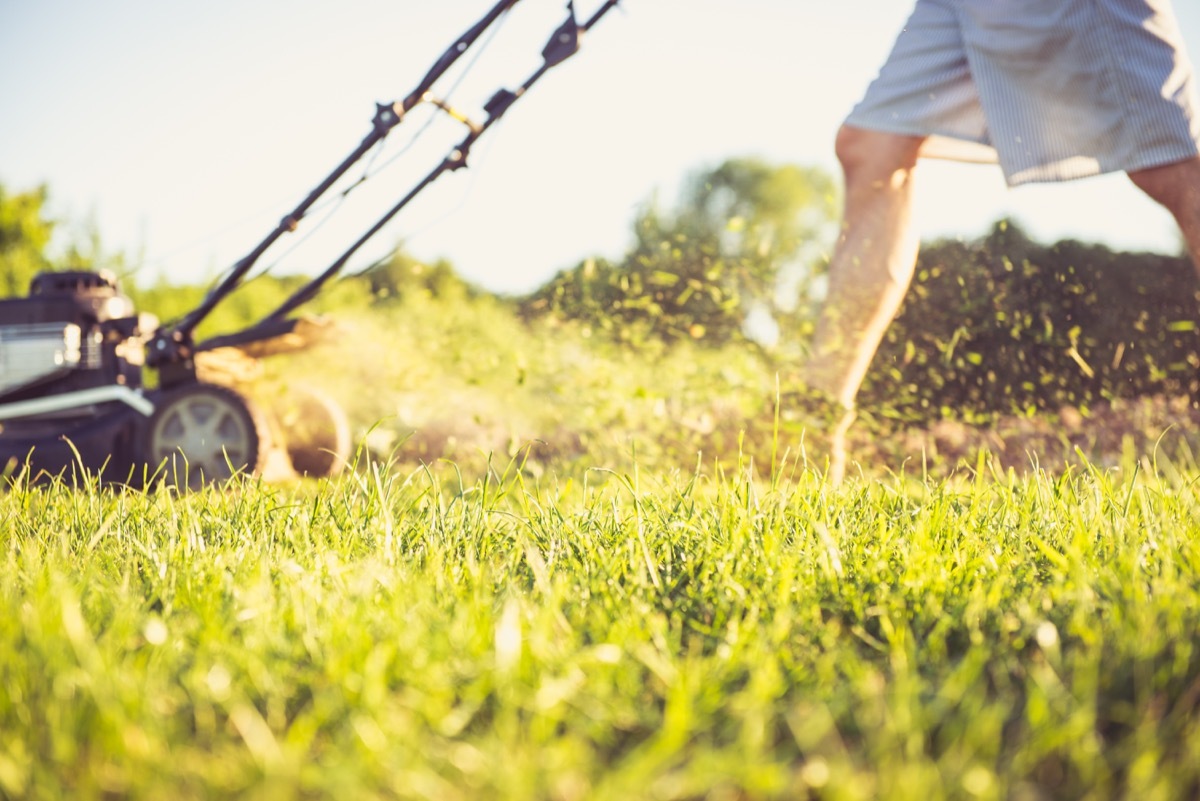 man mowing the grass