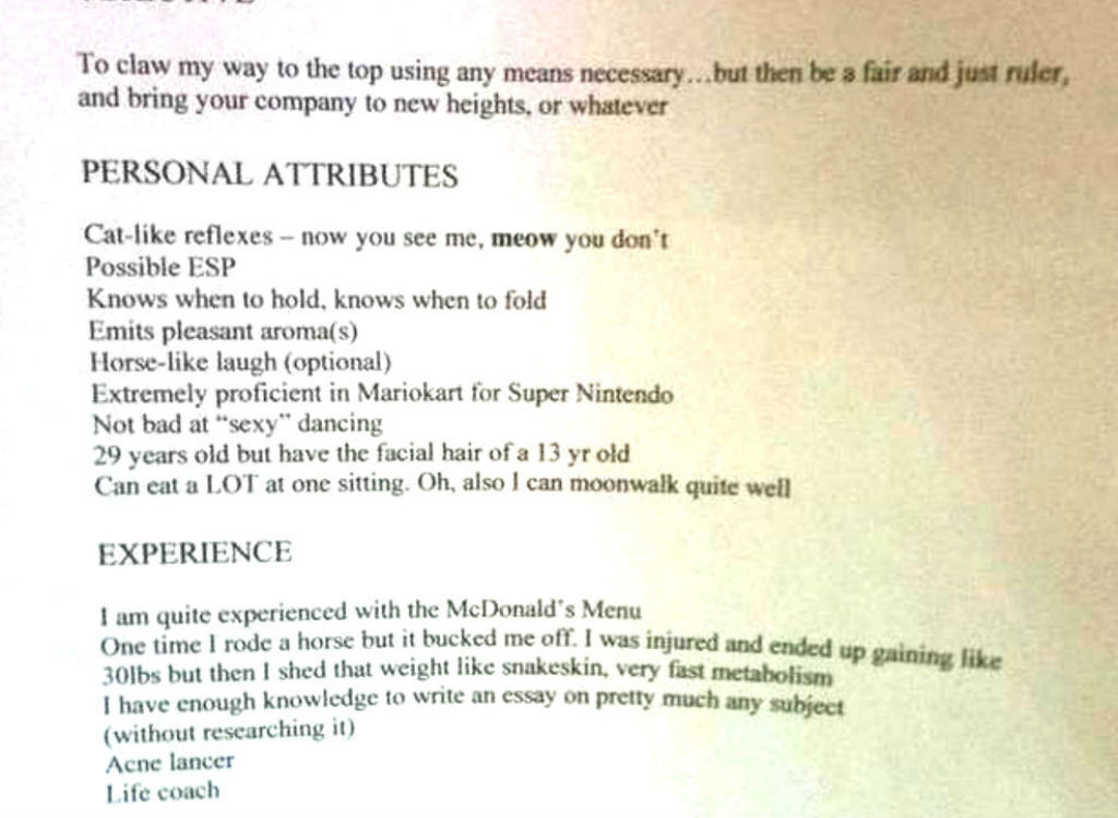 Extremely unprofessional resume