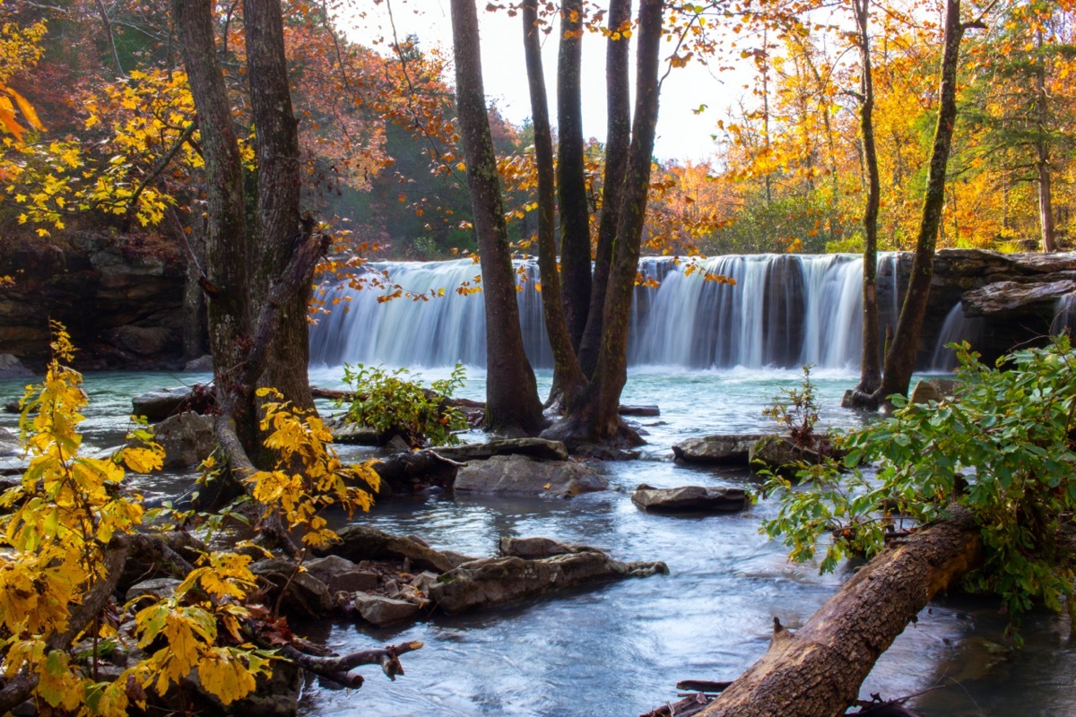 fall foliage at falling water falls in arkansas