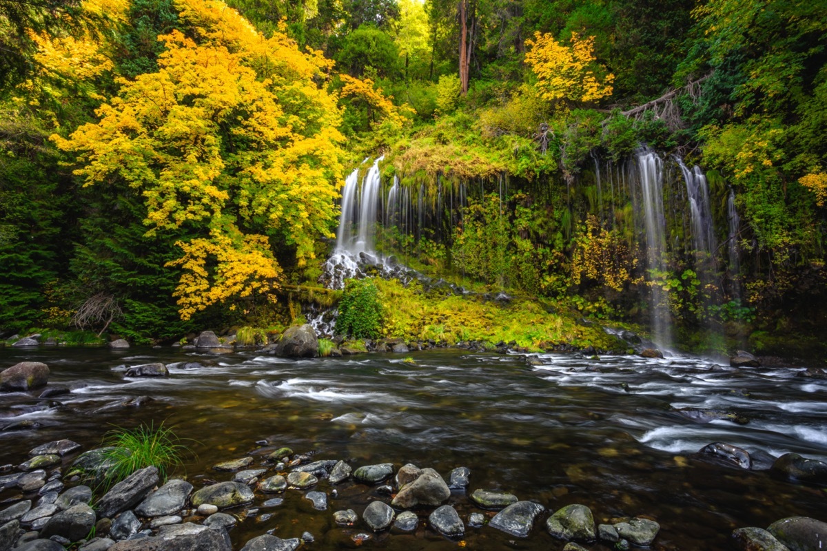 mossbrae falls in autumn