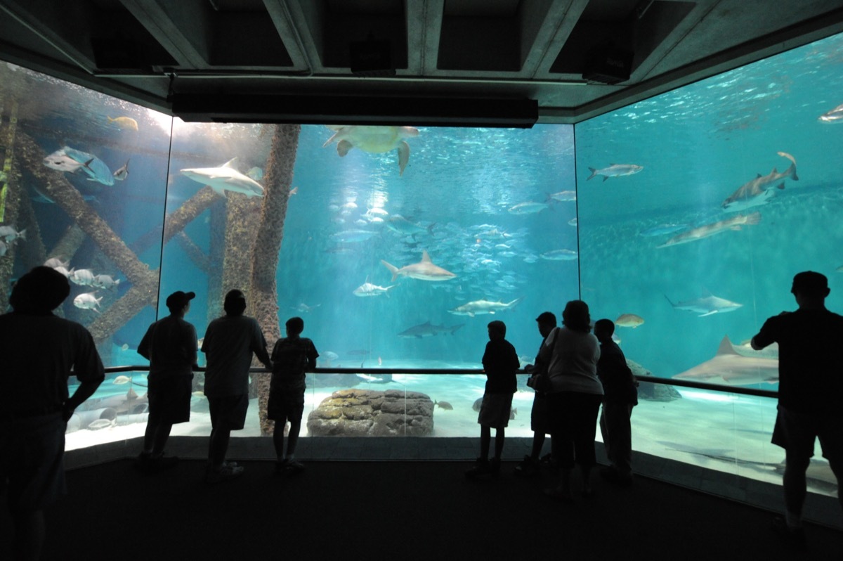 Audubon Aquarium