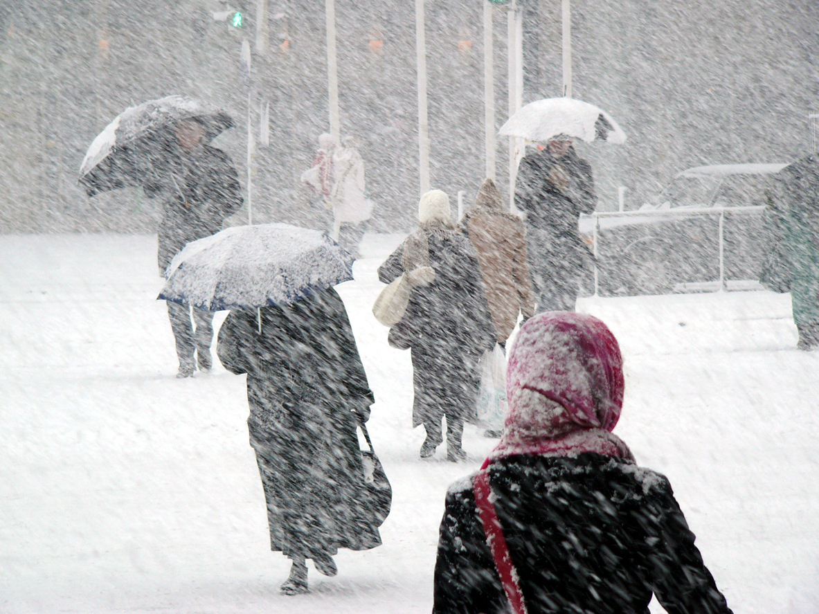 People walking in a snowstorm using umbrellas