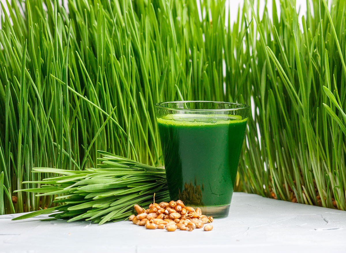 wheatgrass plant form shot form