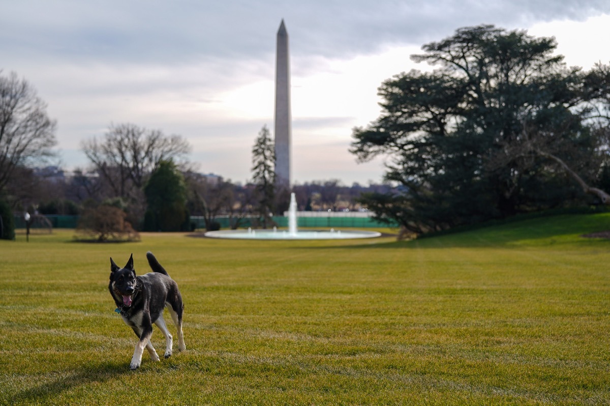 Major Biden on South Lawn