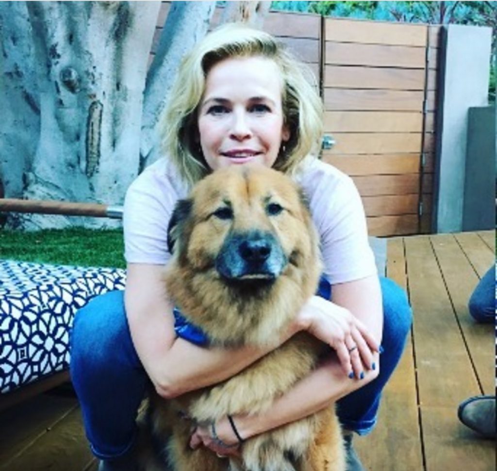 Chelsea Handler celebrities who look like their pets