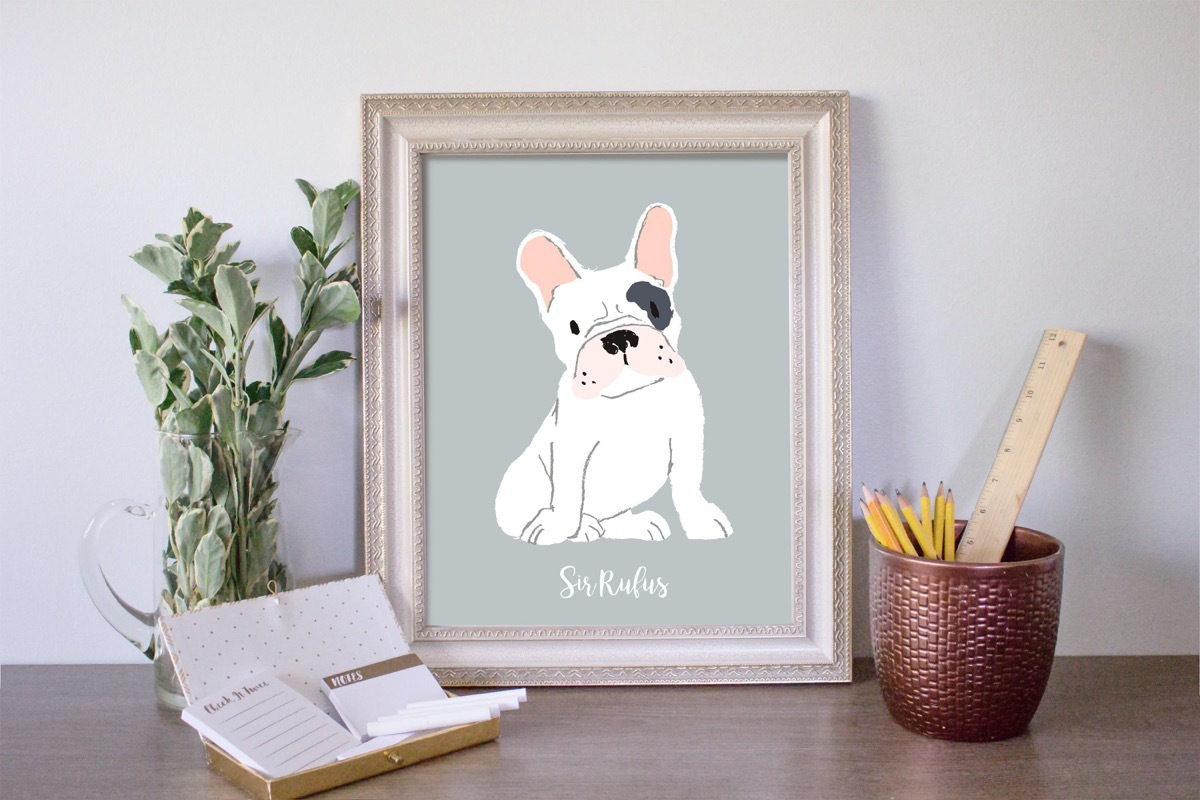 french bulldog portrait on table