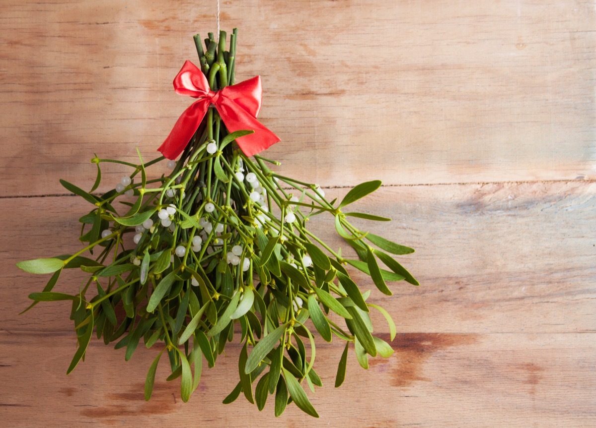 mistletoe on wooden background