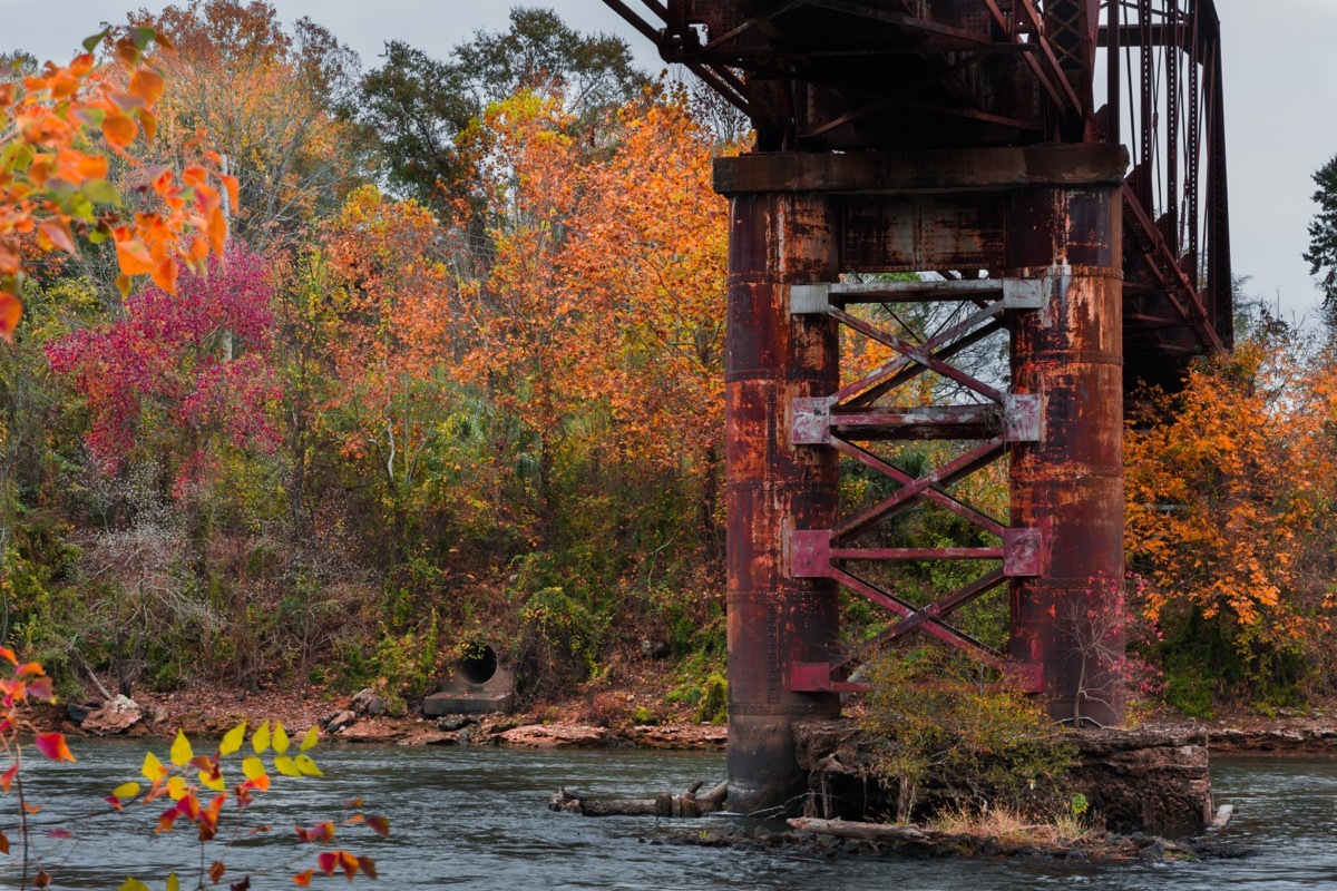 albany georgia fall scene, heart attack cities