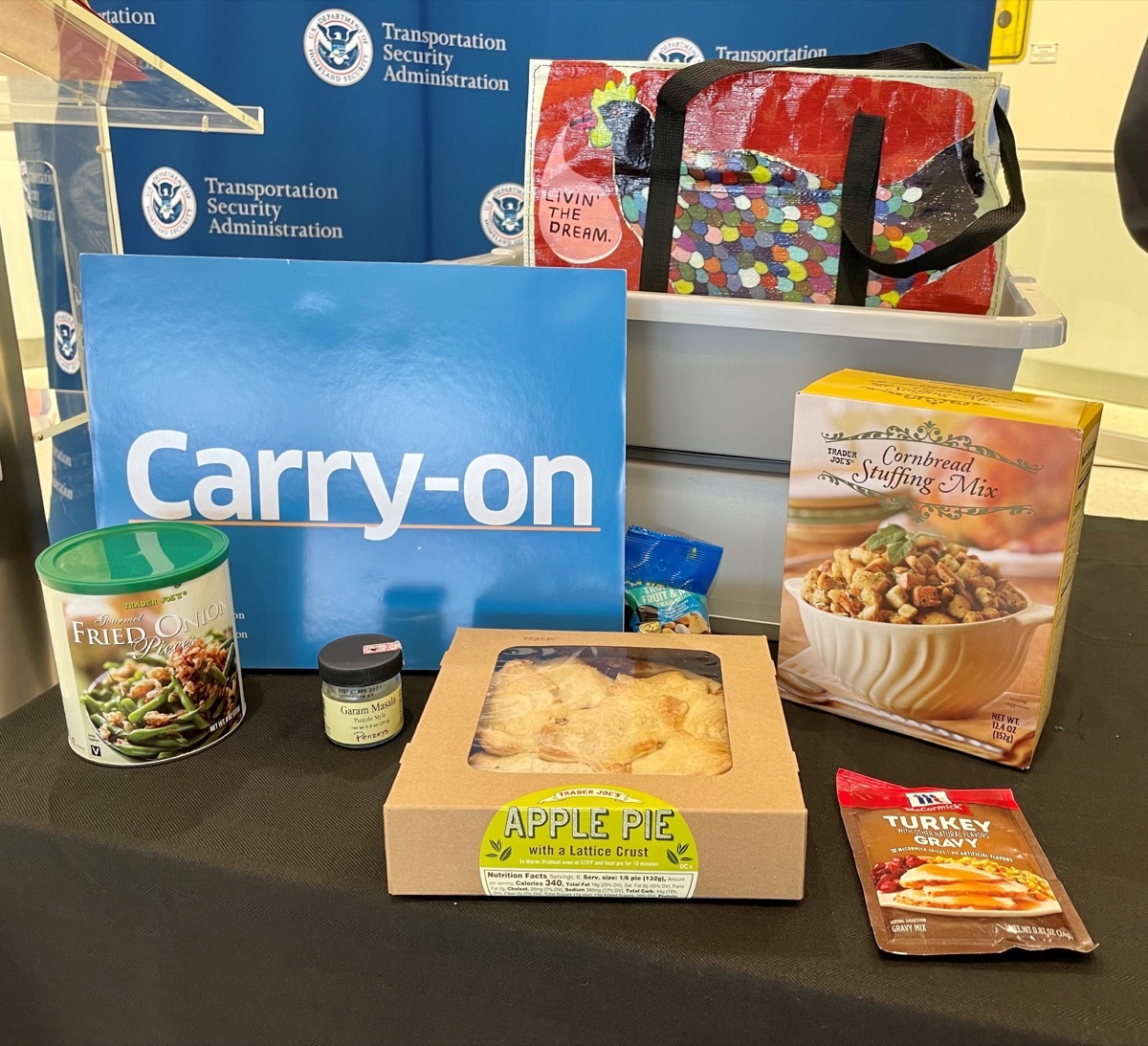 carry-on safe foods airport security