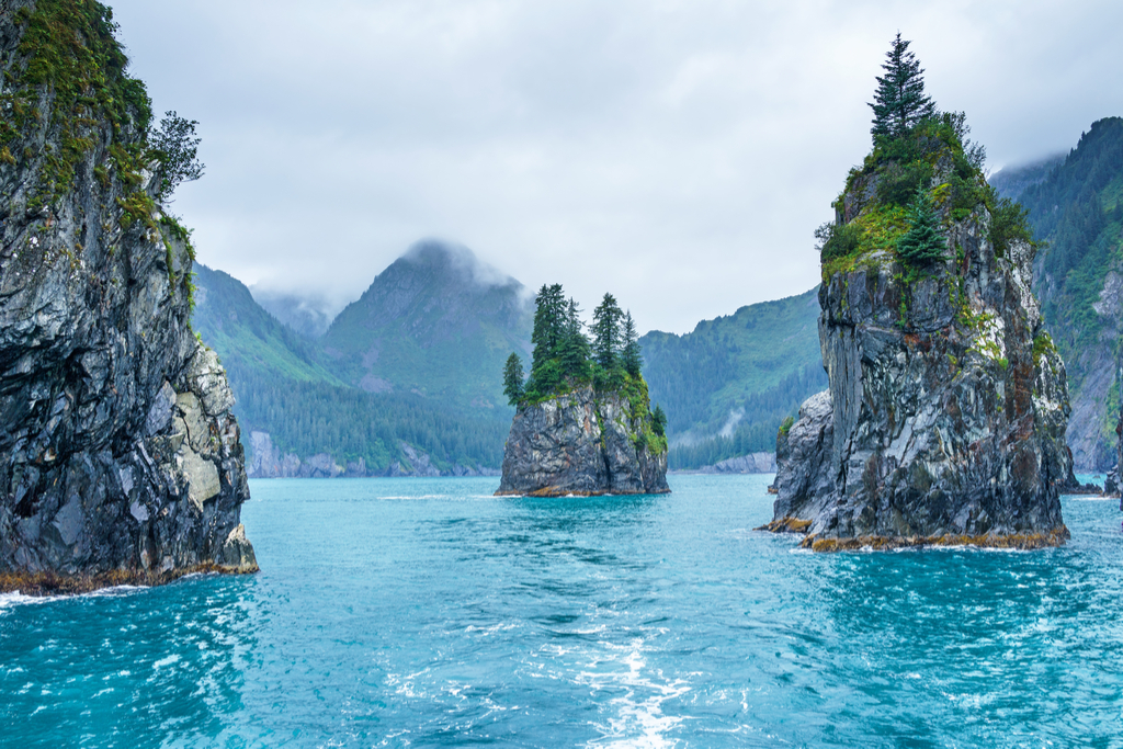 Porcupine Bay Kenai Fjords National Park Magical Destinations