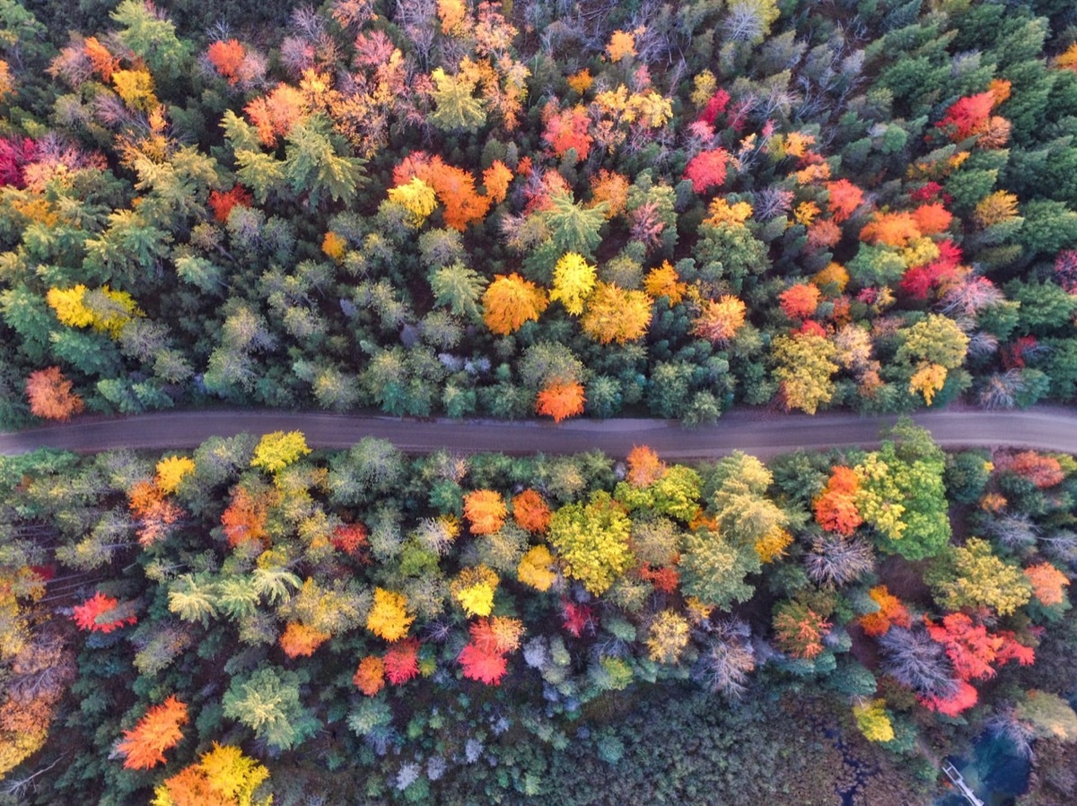 fall road, grayling michigan - fall pictures