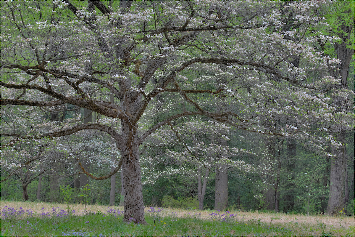 Hockessin, Delaware