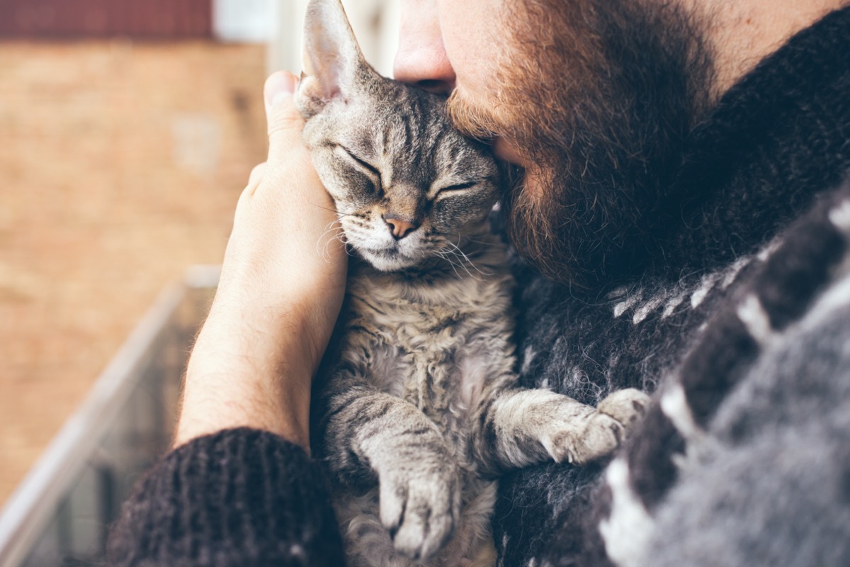 Man with beard cuddling grey cat