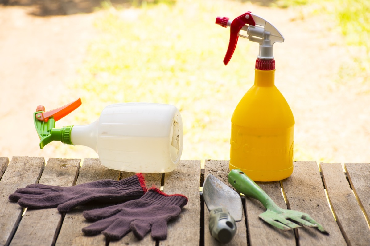 Spray bottle for plants