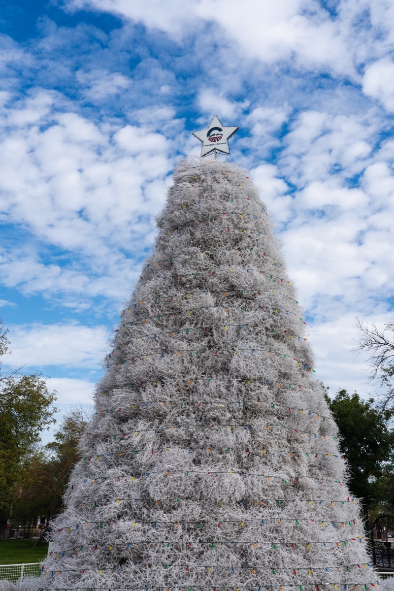 arizona tumbelweed christmas tree