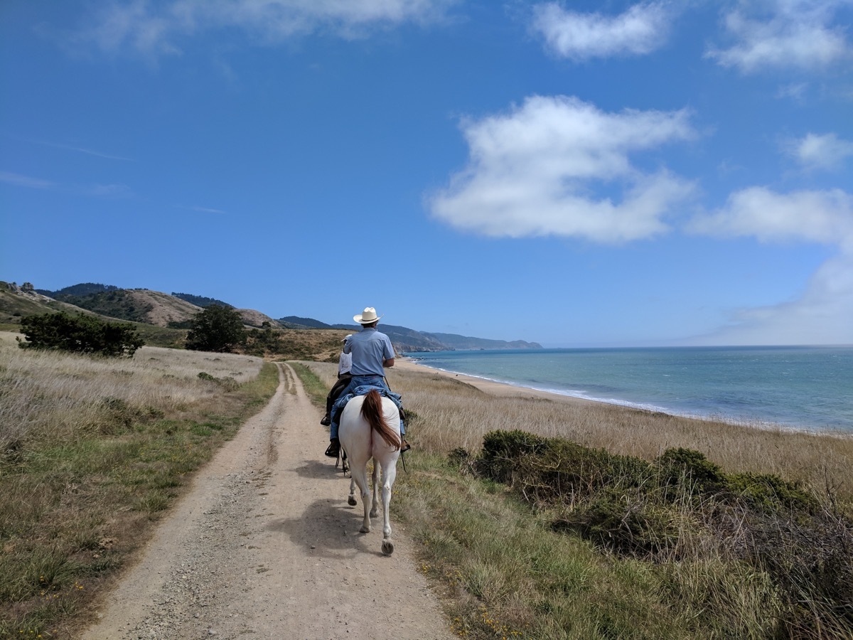 horseback riding at point reyes national seashore california