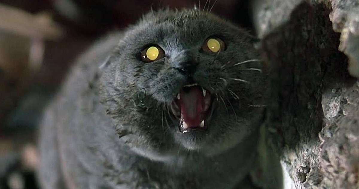 pet sematary