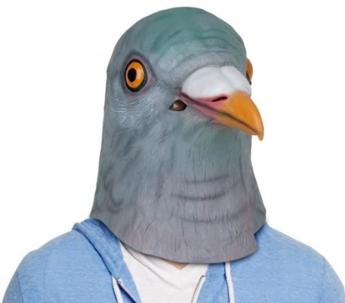 pigeon mask