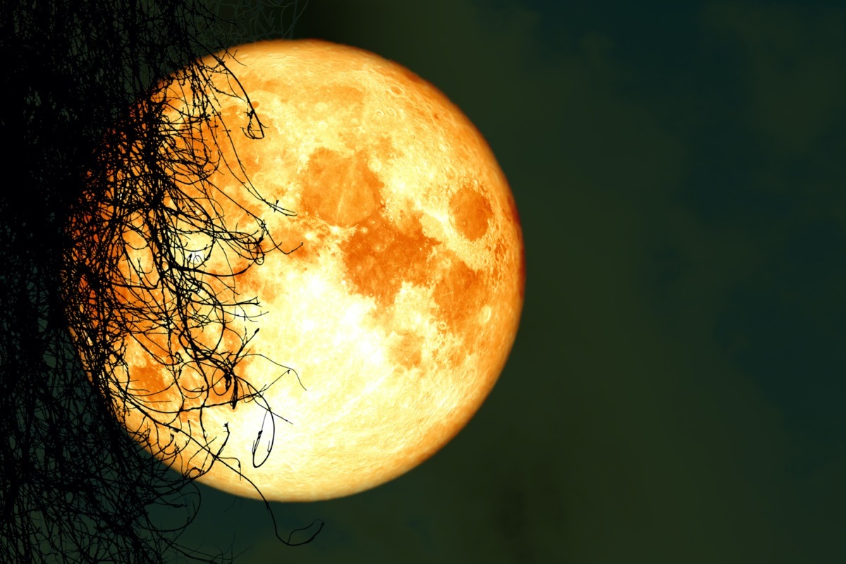 Harvest moon