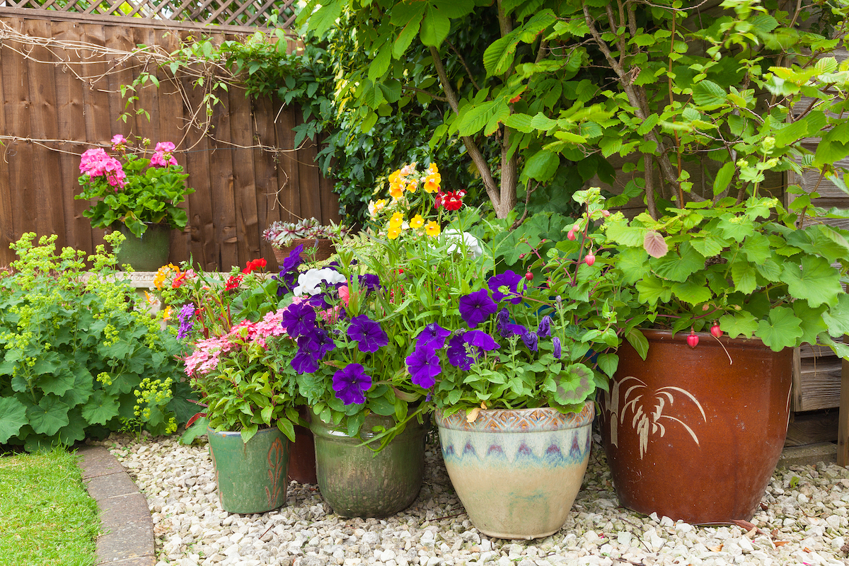 Closeup of a corner of a garden filled with different planters and flowers