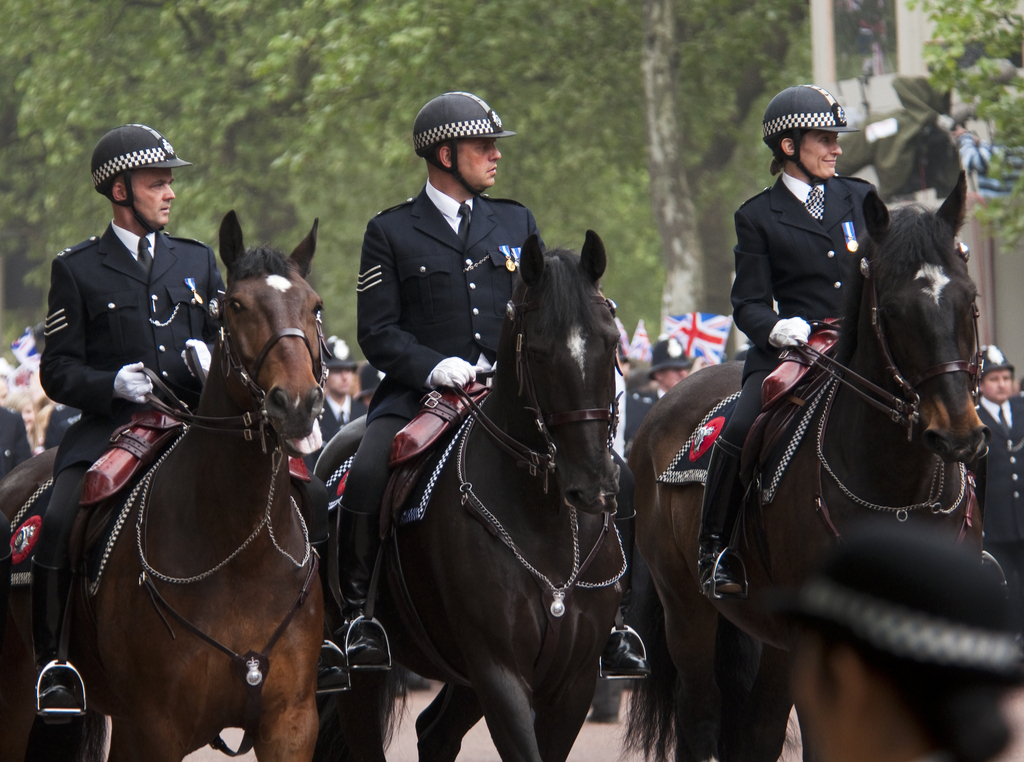 Royal Wedding Security Harry and Meghan's Wedding