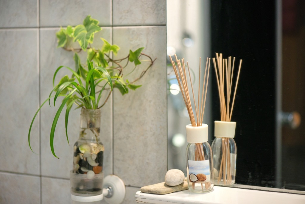 bathroom greenery 20 amazing ways to brighten up your home